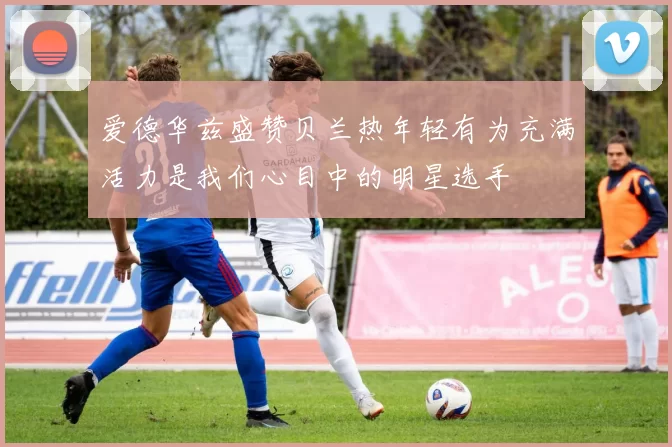 爱德华兹盛赞贝兰热年轻有为充满活力是我们心目中的明星选手
